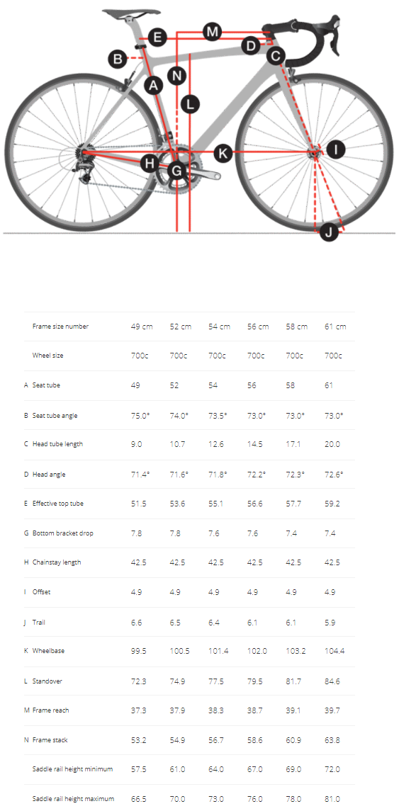 Trek Checkpoint geometry chart